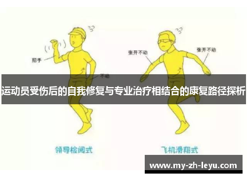 运动员受伤后的自我修复与专业治疗相结合的康复路径探析 运动员受伤后的自我修复与专业治疗相结合的康复路径探析