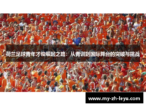 荷兰足球青年才俊崛起之路：从青训到国际舞台的突破与挑战