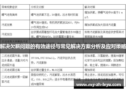 解决欠薪问题的有效途径与常见解决方案分析及应对策略