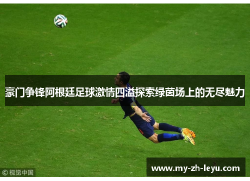 豪门争锋阿根廷足球激情四溢探索绿茵场上的无尽魅力
