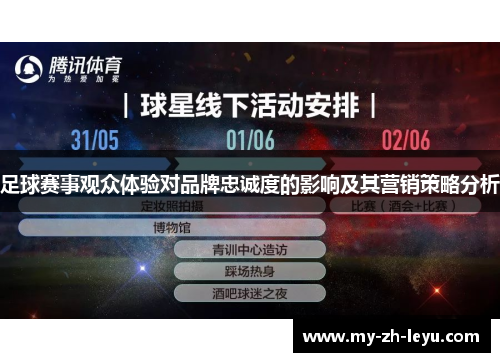 足球赛事观众体验对品牌忠诚度的影响及其营销策略分析 足球赛事观众体验对品牌忠诚度的影响及其营销策略分析