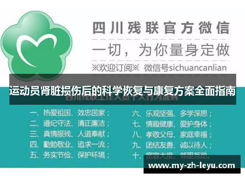 运动员肾脏损伤后的科学恢复与康复方案全面指南 运动员肾脏损伤后的科学恢复与康复方案全面指南